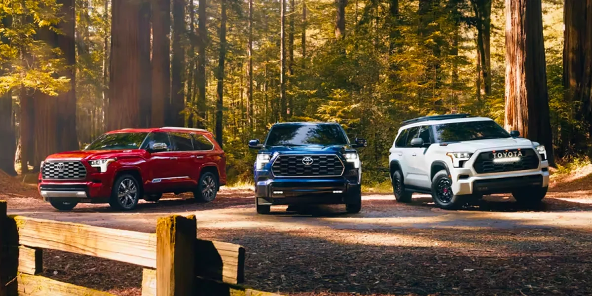 Three 2024 Toyota Sequoias lined up in a forest preserve area